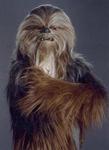 TheBigWookie