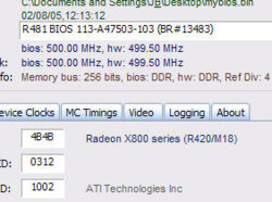 rabitpic4b4b.jpg