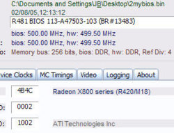 rabitpic4b4c.jpg