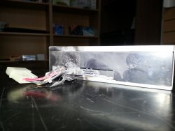 dvd-burned.jpg