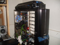 SDC10313.jpg