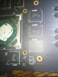 Close up.jpg