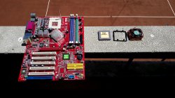 PRW-FM20-169.jpg