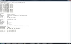 9770.jpg