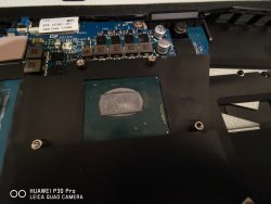 IMG_20201026_150139.jpg