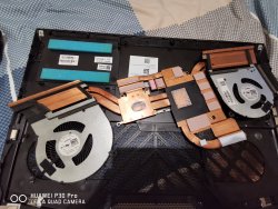 IMG_20201026_150149.jpg