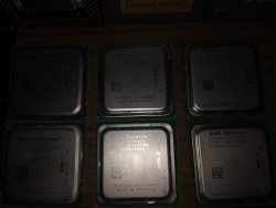 IMG_20160707_112637.jpg