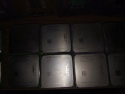 IMG_20160707_112648.jpg