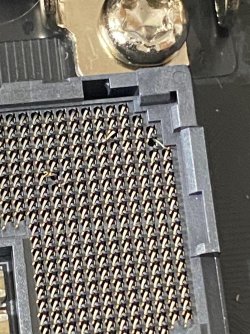 LGA SOCKET DMG 2.jpg