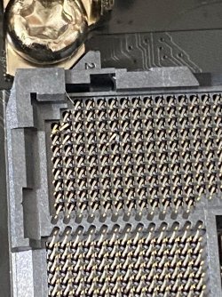 LGA SOCKET DMG 4.jpg