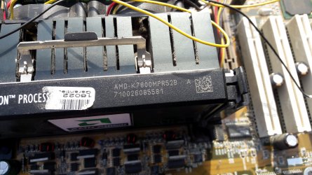 PRW-2021-376.jpg