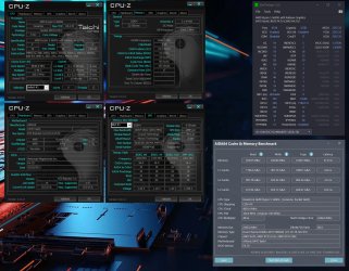 aida-1.jpg
