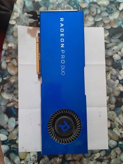 20230920_154115.jpg