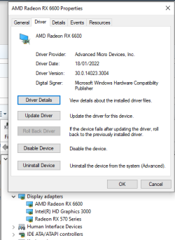 rx6600screenshotdevmang.png