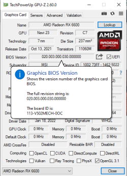 rx6600BIOS report.png