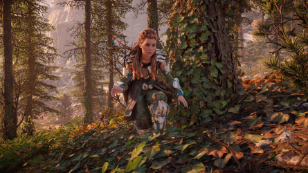 Horizon Zero Dawn Remastered Screenshot 2024.11.06 - 18.23.12.86.png