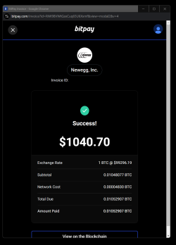 Newegg payment Success!.png