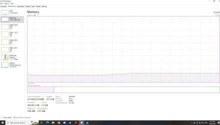 RAM just Steam.jpg