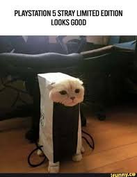 1751745337494.jpeg