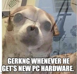 9zjbx7.jpg
