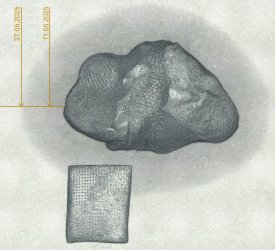 Putty-Longterrm-1.jpg