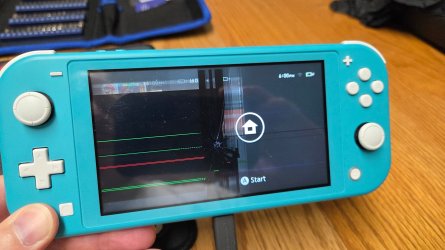 Nintendo Switch Lite screen replacement | TechPowerUp Forums