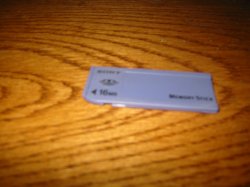 IMG_0034.JPG