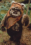 Ewok