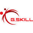 G.SKILL