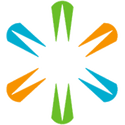 LSI