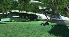 Microsoft Flight Simulator