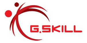 G.SKILL Logo