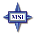 MSI Logo