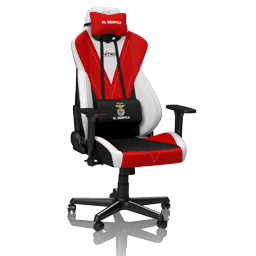 Nitro Concepts Series S300 Gaming Chair Review
