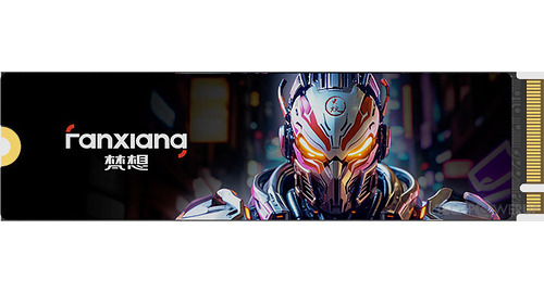 Fanxiang S501Q 1To 2To M.2 PCIe 3.0 Gen3 NVMe SSD Interne Disque Dur