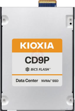 Kioxia CD9P-R 31 TB Specs | TechPowerUp SSD Database